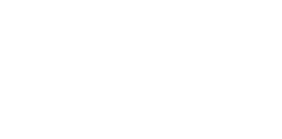 عن المنصة